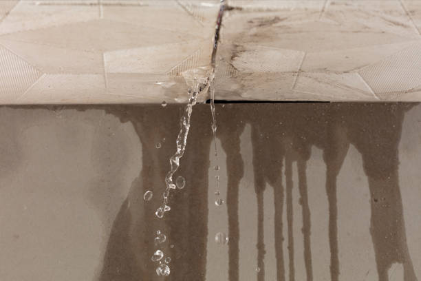 Professional Structural Drying technician working in Nixon, TX